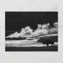 Search for steaming postcards White