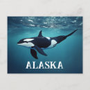 Search for killer horizontal postcards Orca