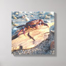 Search for driftwood canvas prints Ocean