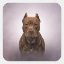 Search for american staffordshire terrier stickers Puppy