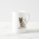 Search for cairn mugs Pet