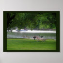 Search for speedboat posters Nature