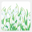 Search for snowdrop stickers Floral