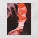 Search for antelope postcards Rock