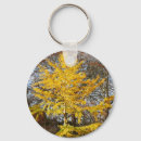 Search for ginkgo key rings Biloba