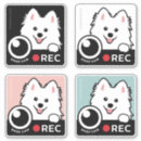 Search for video bumper stickers Dashcam