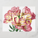 Search for freesia postcards Botanical