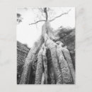 Search for reaping vertical postcards Angkor wat