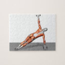 Search for muscles of the body puzzles Weight training