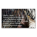 Search for turkey business cards Nature