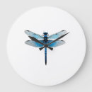 Search for animal clocks Dragonfly