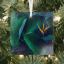 Search for birds of paradise christmas tree decorations Orange