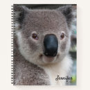 Search for koala notebooks Nature