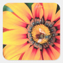 Search for pollen stickers Daisy