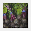 Search for producers magnets Vegetable
