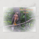 Search for shoulders postcards Nature