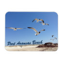 Search for seagull magnets Nature