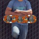 Search for zebra skateboards Safari