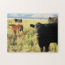 Search for cowgirl puzzles Farm
