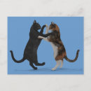 Search for dancing cat postcards Funny