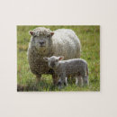 Search for babe puzzles Newborn