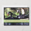 Search for black swan invitations Red