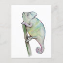 Search for cute chameleon postcards Watercolor