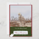 Search for snowy owl christmas cards Bird