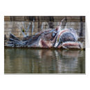 Search for weird fish cards Funny