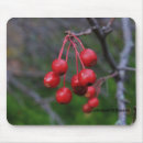 Search for limbs mouse mats Tree