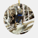 Search for fence christmas tree decorations Nature