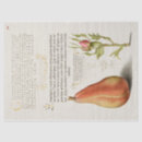 Search for book page tissue paper French