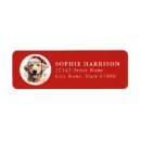 Search for labrador retrievers return address labels Yellow lab