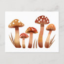 Search for wild mushrooms postcards Grass