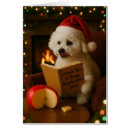 Search for bichon frise christmas cards Cute