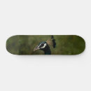 Search for peacock skateboards Peafowl