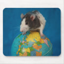 Search for cute rat mouse mats Pets