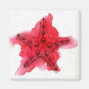 Search for seashore magnets Starfish