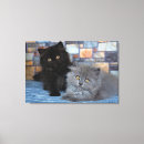 Search for persian canvas prints Cat