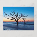 Search for environment postcards Coastal