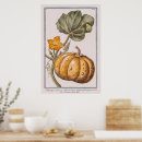 Search for pumpkins at posters Food