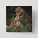 Search for cani badges Usa