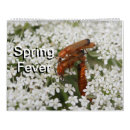 Search for insect calendars Dragonfly