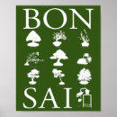 Search for bonsai tree posters Plant
