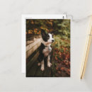 Search for border vertical postcards Trendy