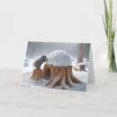 Search for igloo card cards Snow