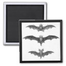 Search for bat wing home living spooky