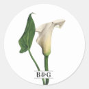 Search for calla lily flower stickers Botanical
