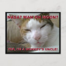 Search for cheeky horizontal postcards Monkey