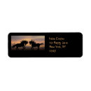 Search for horse silhouette return address labels Equine